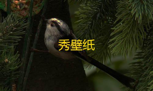 暗区突围免费透视秀壁纸